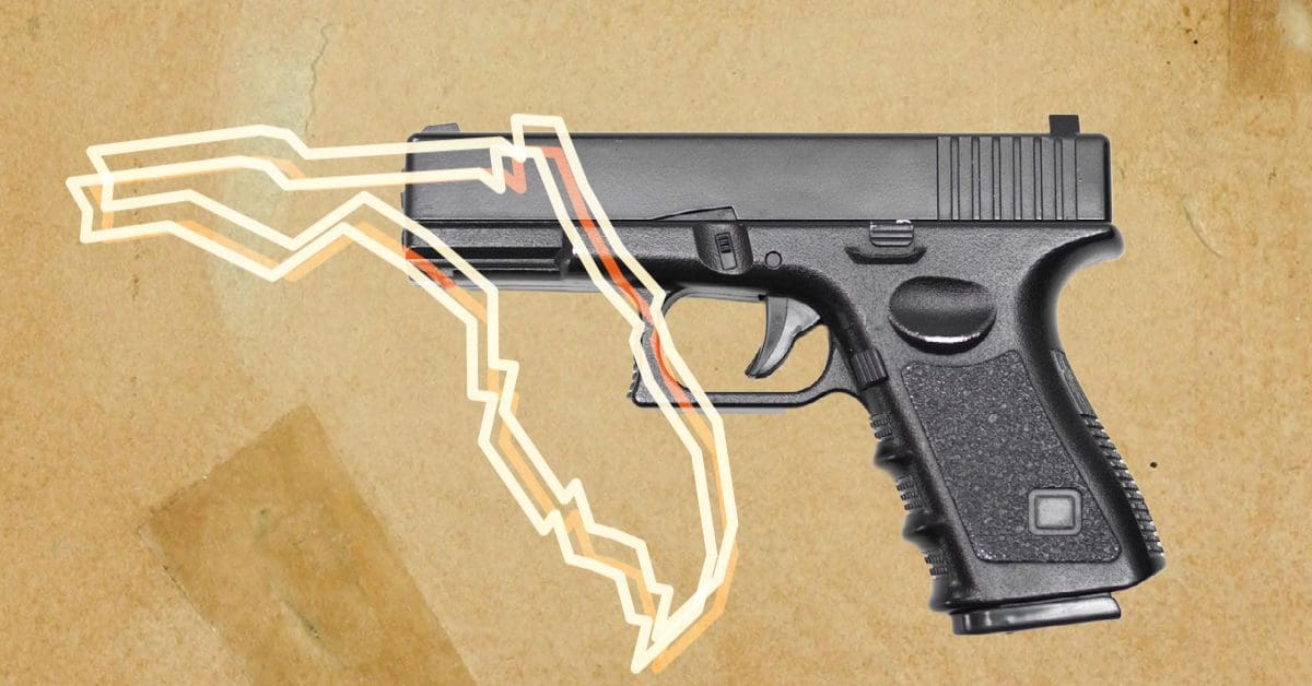 Illustration representing Florida and handguns
